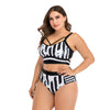 Printed High-Waist Two-Piece Bathing Suit