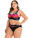 Plus Size Printed High-Waist Two-Piece Bathing Suit