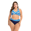 Plus Size Printed High-Waist Two-Piece Bathing Suit