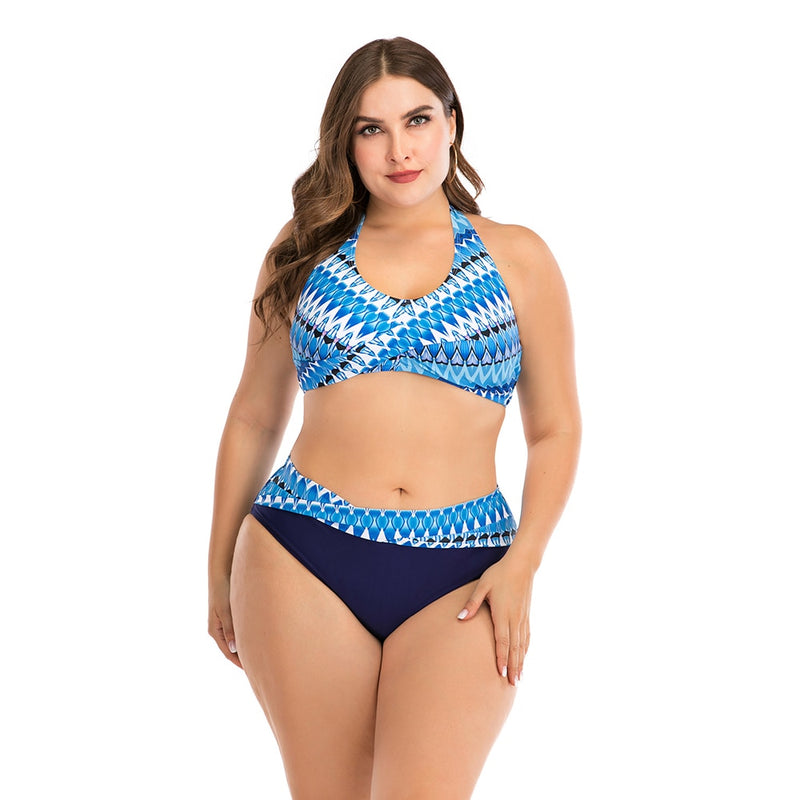 Plus Size Printed High-Waist Two-Piece Bathing Suit